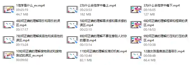 雅痞情感点·老三《泡学解毒课》实战指南｜限时揭秘+专属解毒方案-沉沉情感网
