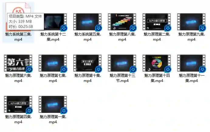 柯李思Chris良叔《魅力原理》实战指南｜限时揭秘专属魅力公式-沉沉情感网