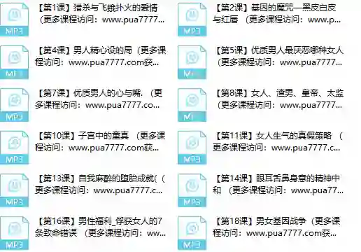 甄琦学长《成功男人的情感刚需》实战指南｜限时揭秘专属情感升级方案-沉沉情感网