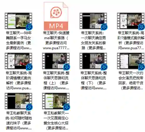 闪恋会《帝王私教聊天系统》-沉沉情感网