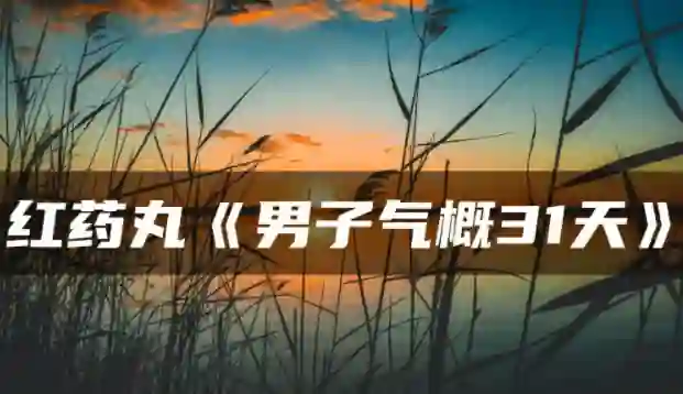 红色药丸《男子气概31天》实战指南：限时揭秘专属成长路径-沉沉情感网