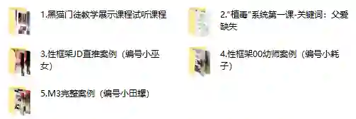 黑猫门徒核心课实战指南：限时揭秘专属成长路径-沉沉情感网