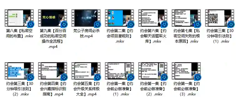 图片[1]-梵公子《约会加速器》实战指南：揭秘高效脱单核心技巧-沉沉情感网