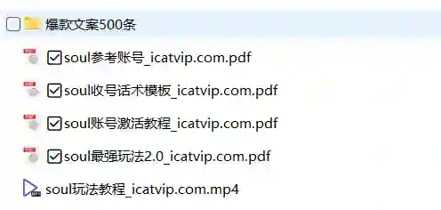 Soul最新玩法实战指南：500条爆款文案限时揭秘-沉沉情感网