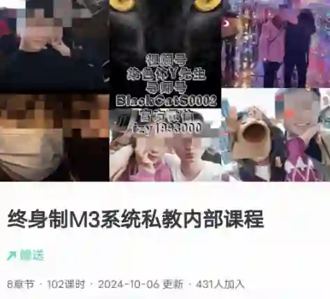 黑猫《终身制M3系统私教内部课程》-沉沉情感网
