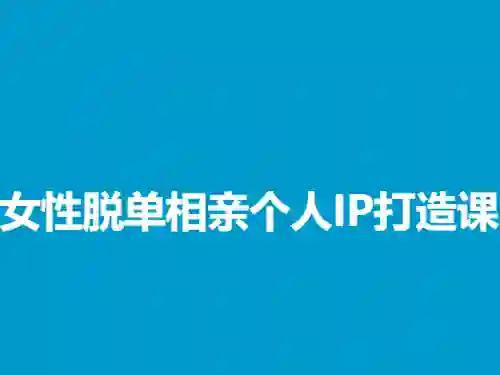 蓝冰《女性脱单相亲个人IP打造课》实战指南|限时揭秘专属变现路径-沉沉情感网