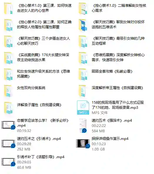 私教专属实战指南:魅男方法V3.0揭秘-沉沉情感网