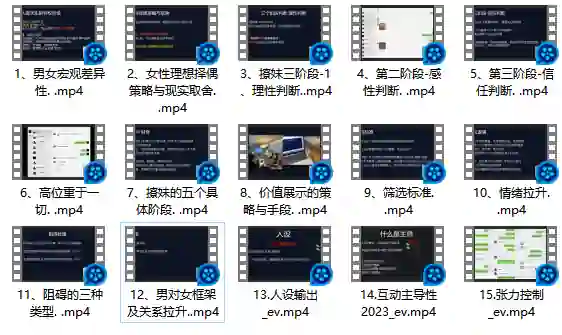 Leon情感5.0实战指南：限时揭秘专属情感提升术-沉沉情感网