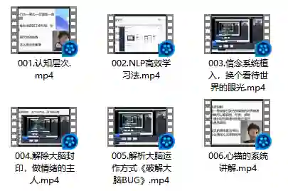 图片[1]-NLP大脑升维实战指南｜AI时代专属认知升级秘籍（2024限时揭秘）-沉沉情感网