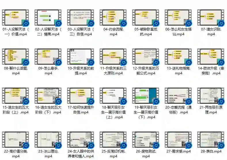 图片[1]-麦子《脱单实战VIP课》限时揭秘：专属脱单指南-沉沉情感网