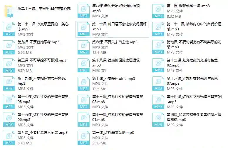 红丸实战指南：十大人生法则限时揭秘-沉沉情感网