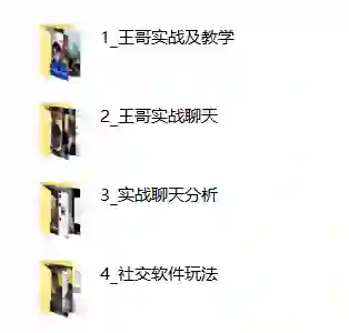 王哥社交新玩法【完整版】实战指南：限时揭秘专属社交破圈术-沉沉情感网