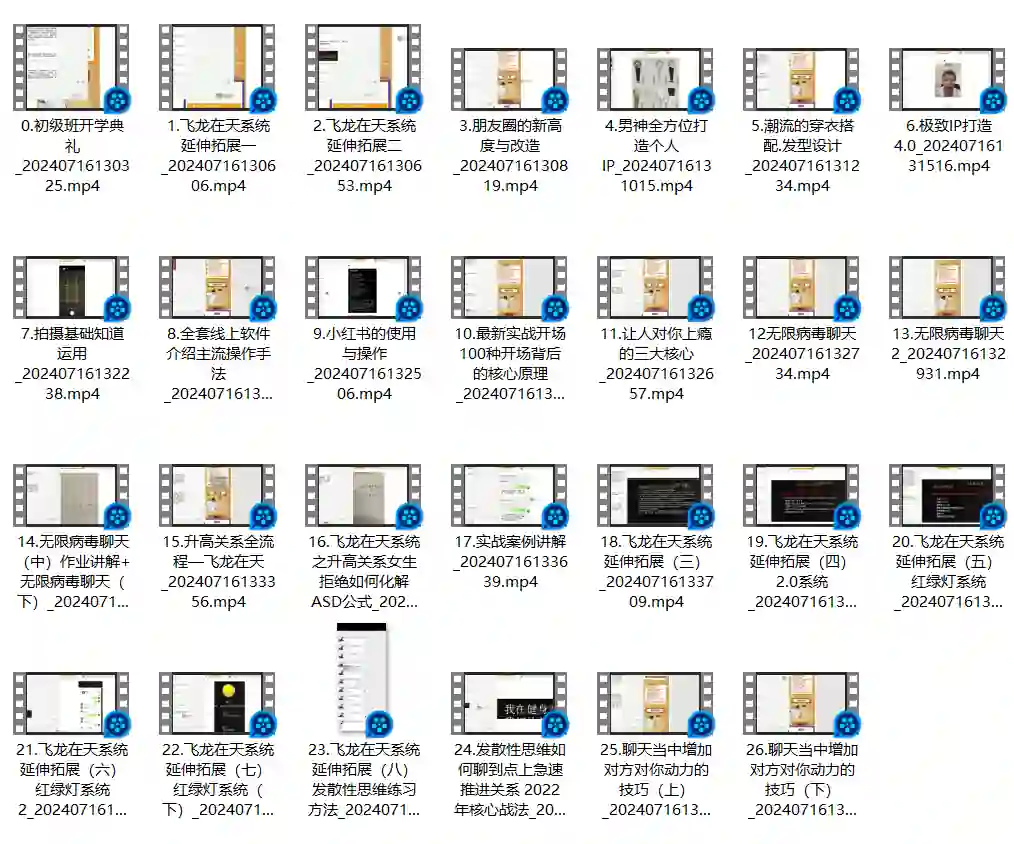 男哥内核3.0初级班内部课-沉沉情感网