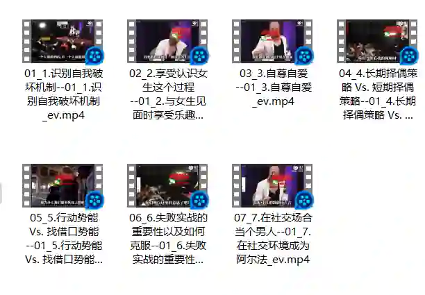 RSD泰勒《最后一搏计划》【社交光谱】实战指南·人工翻译专属版-沉沉情感网