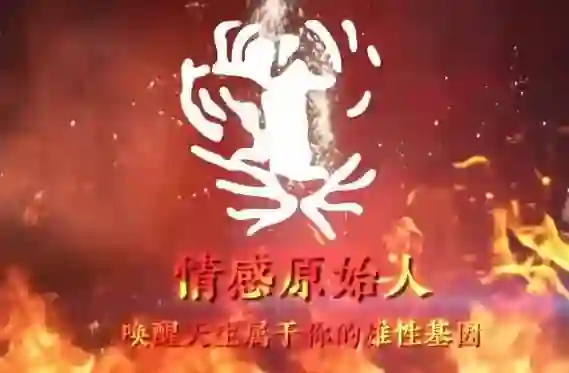 图片[1]-火种情感《情感原始人》实战指南：揭秘原始吸引力法则-沉沉情感网